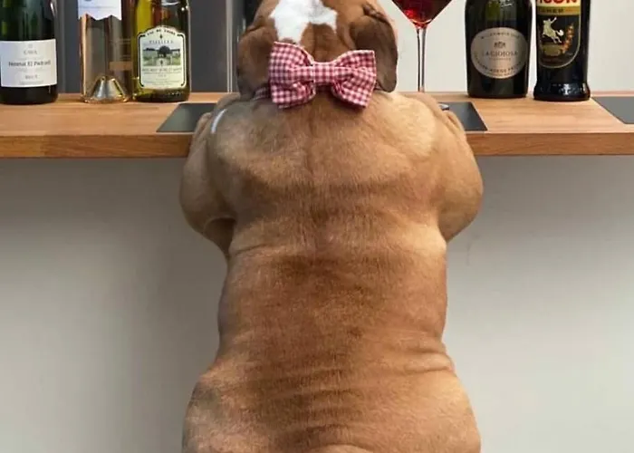 アパート Cesar Manrique - Albufeira, Portugal *