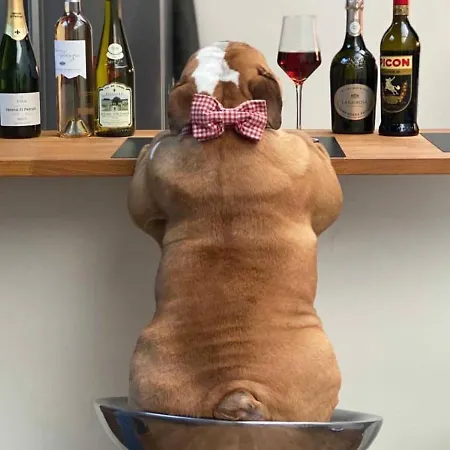 Apartament Cesar Manrique - Albufeira, Portugal *